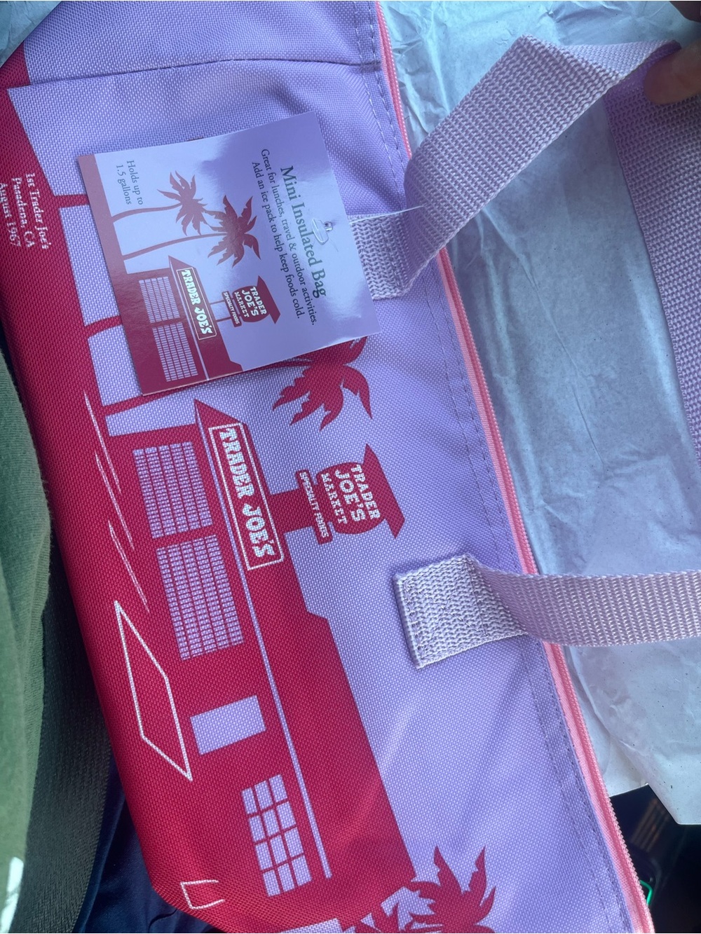 Trader Joe's Lavender & Red Insulated Tote